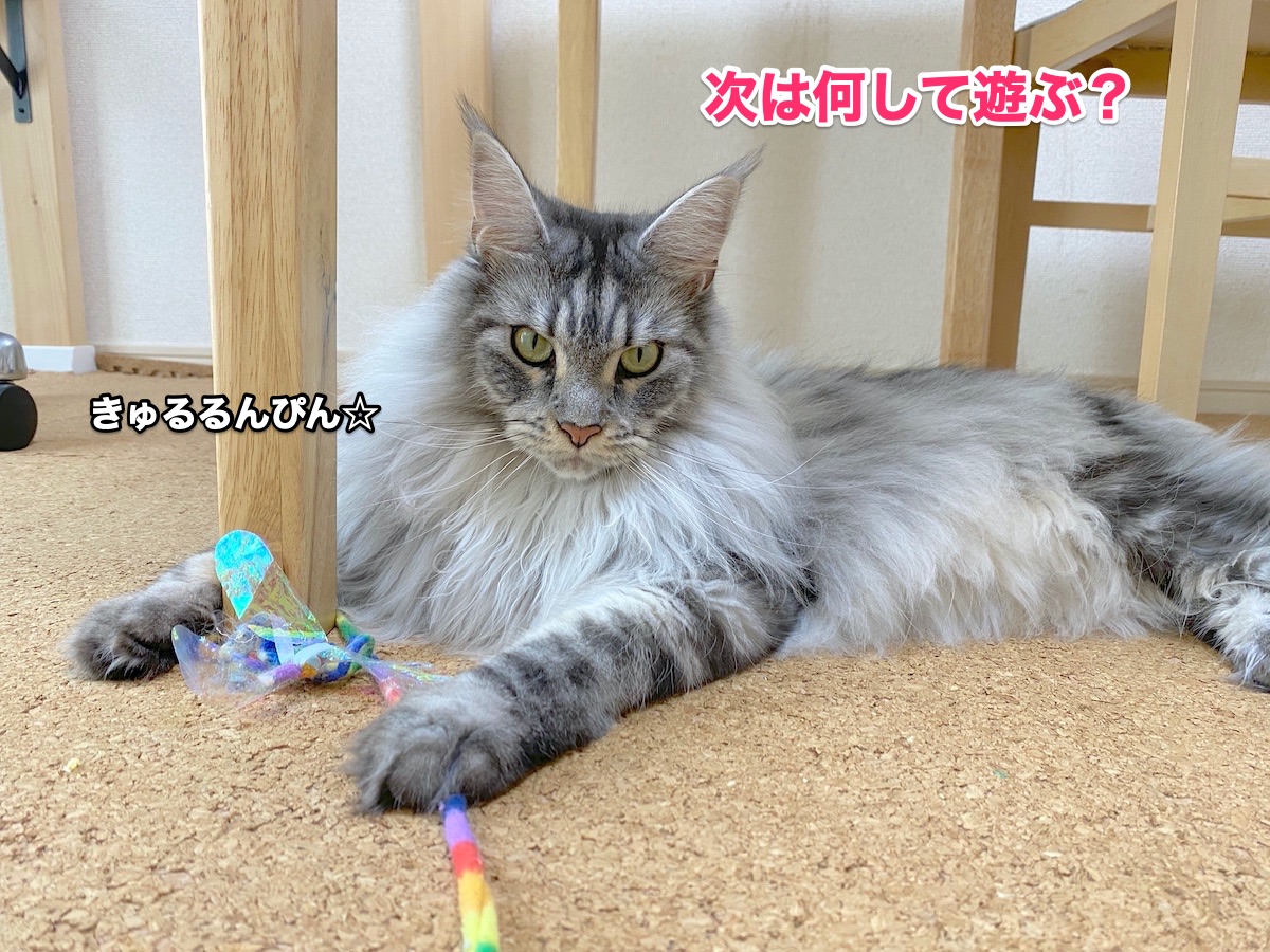 f:id:chikojirou:20200806201415j:plain