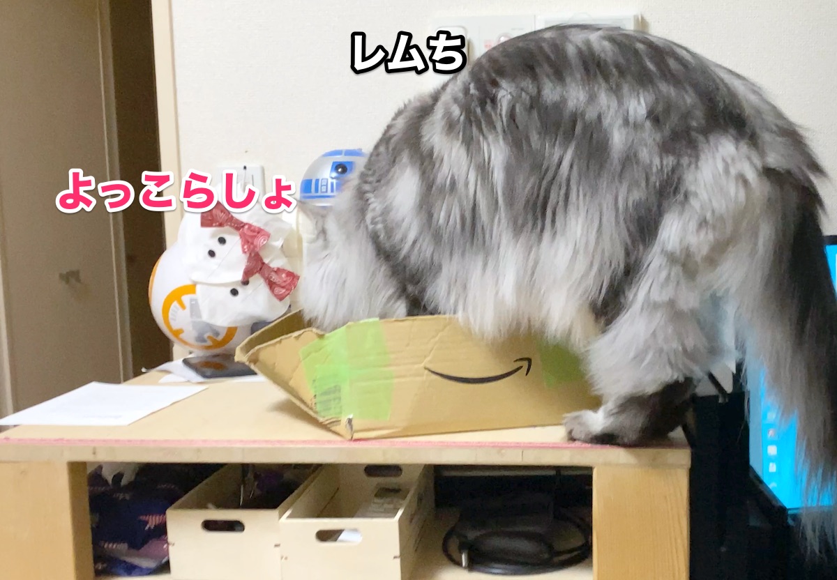 f:id:chikojirou:20200808203335j:plain f:id:chikojirou:20200808203335j:plain