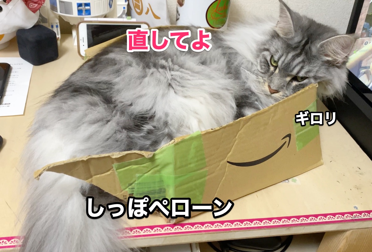 f:id:chikojirou:20200808203346j:plain f:id:chikojirou:20200808203346j:plain