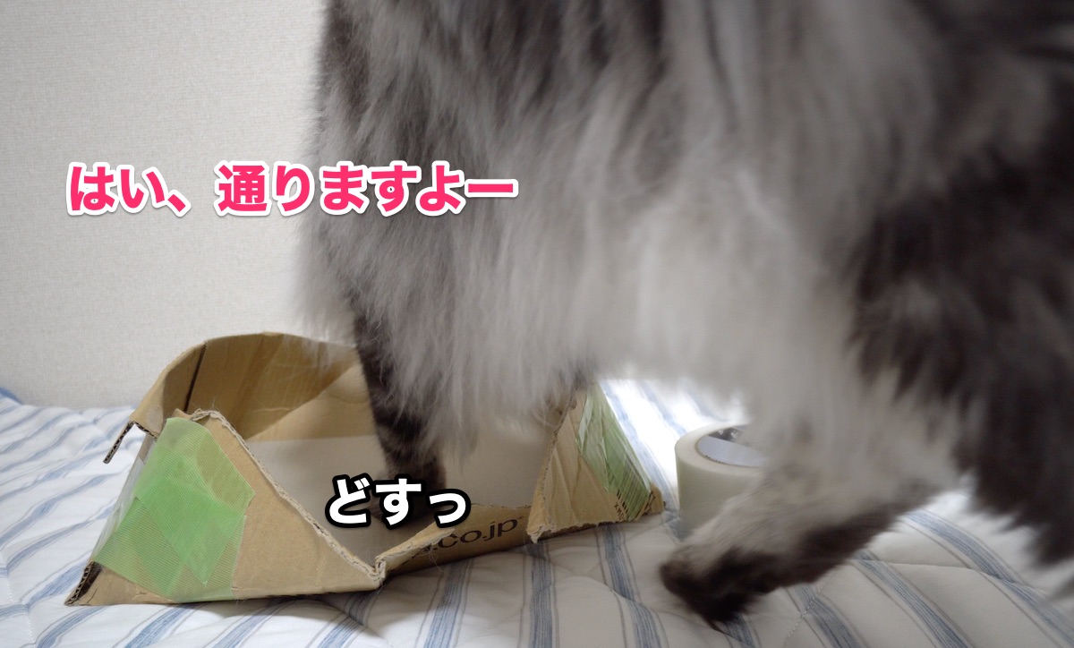 f:id:chikojirou:20200808203353j:plain f:id:chikojirou:20200808203353j:plain