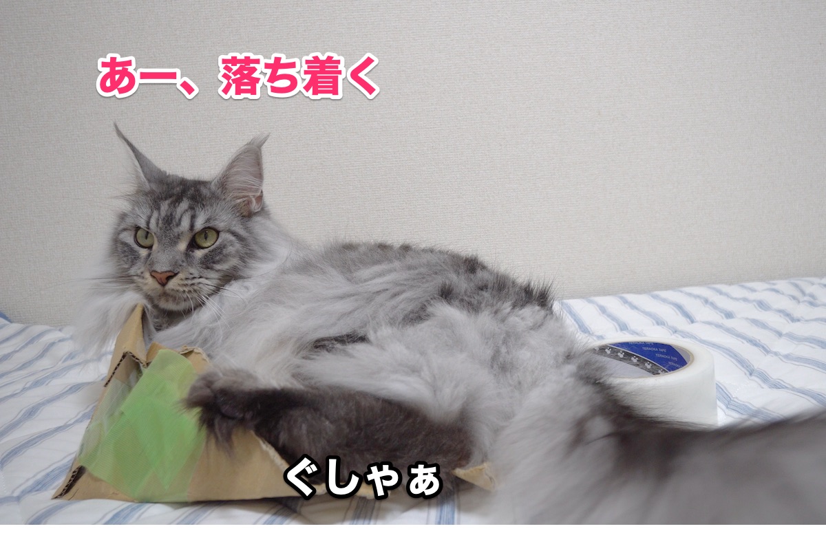 f:id:chikojirou:20200808203359j:plain f:id:chikojirou:20200808203359j:plain