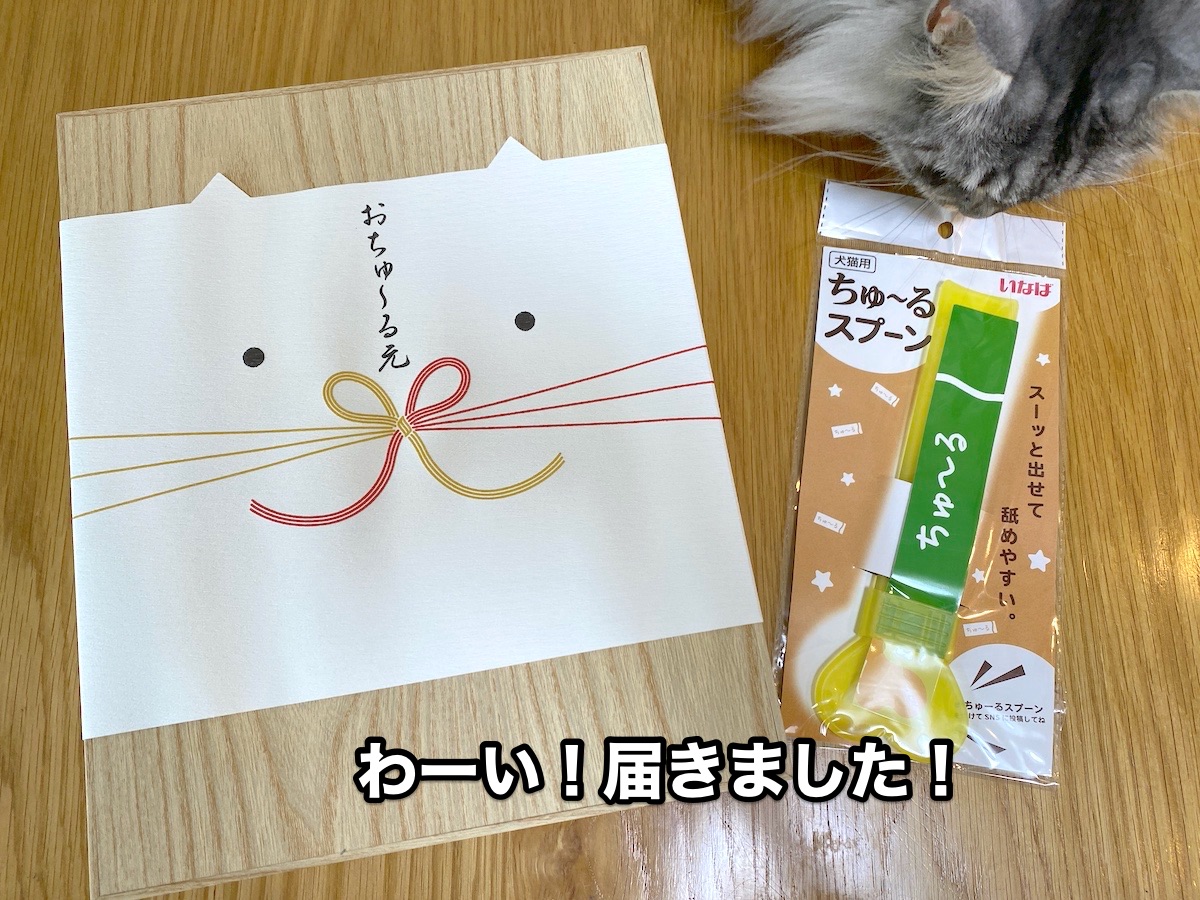 f:id:chikojirou:20200810204721j:plain