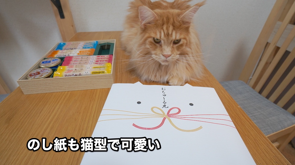 f:id:chikojirou:20200810204724j:plain