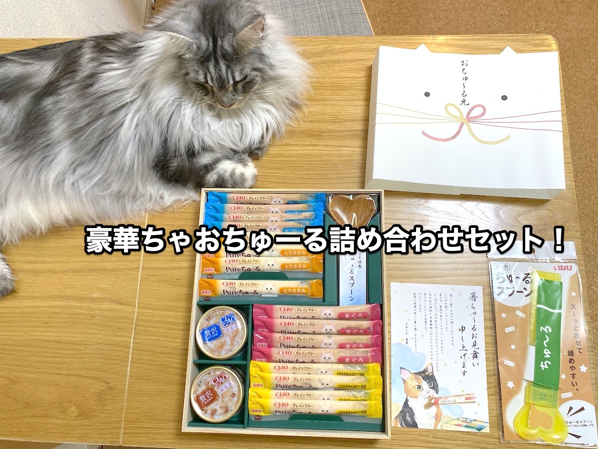 f:id:chikojirou:20200810204727j:plain