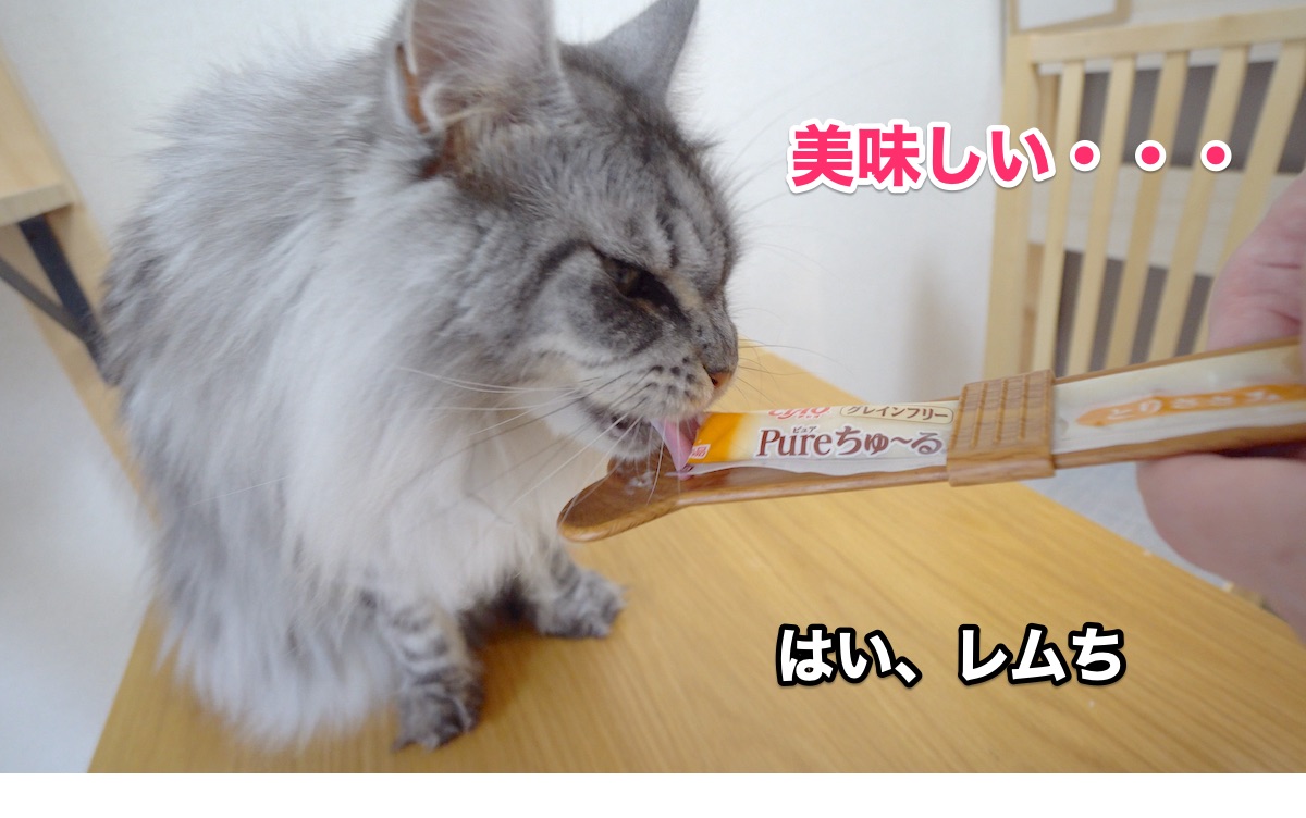 f:id:chikojirou:20200810204730j:plain