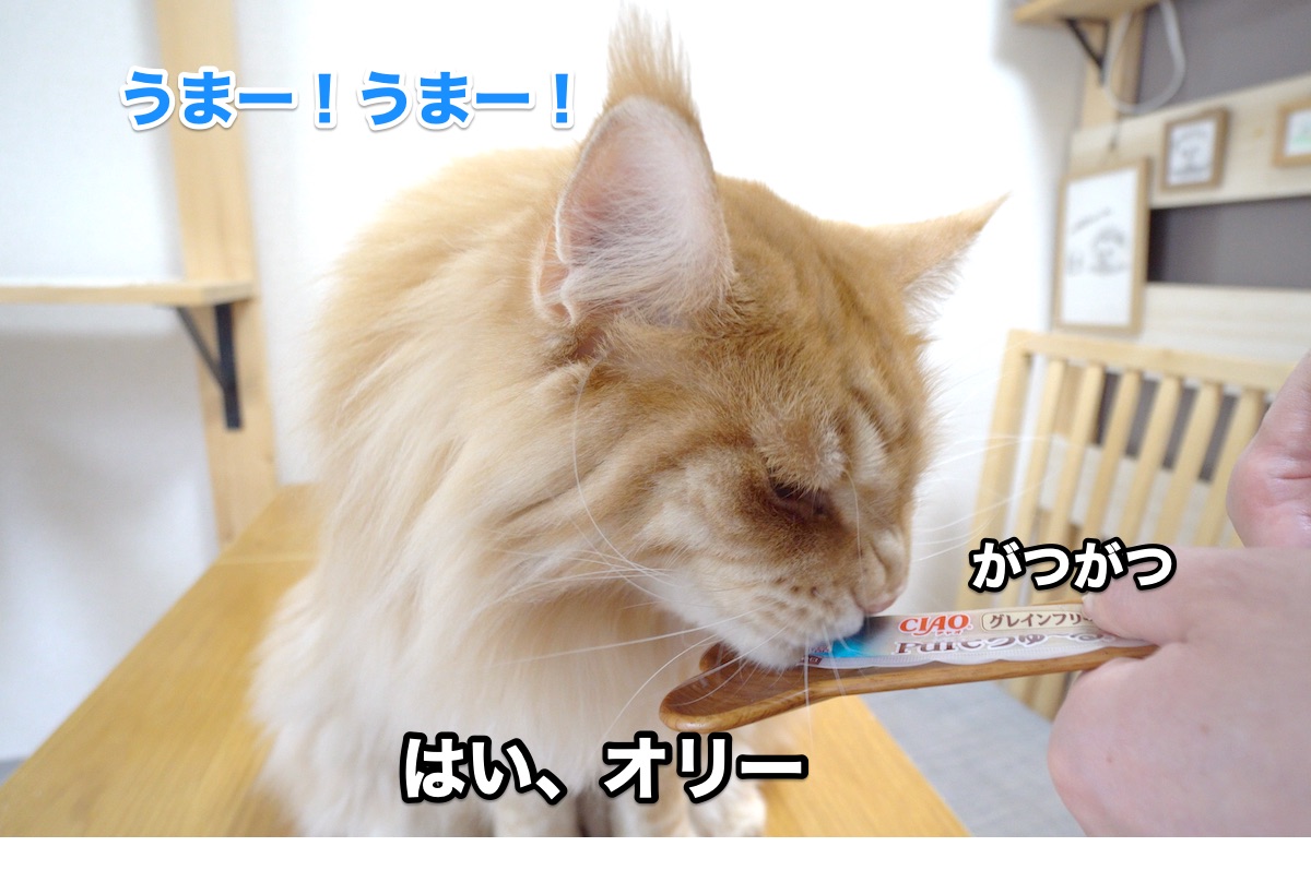f:id:chikojirou:20200810204734j:plain
