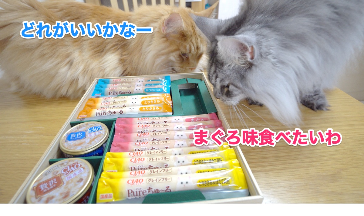 f:id:chikojirou:20200810204738j:plain