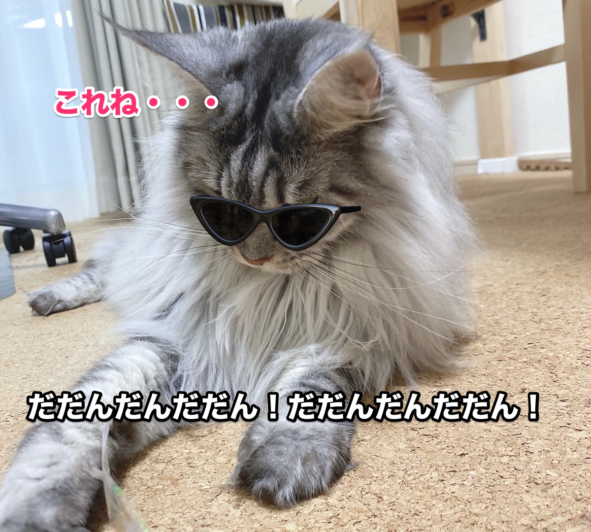 f:id:chikojirou:20200810204750j:plain