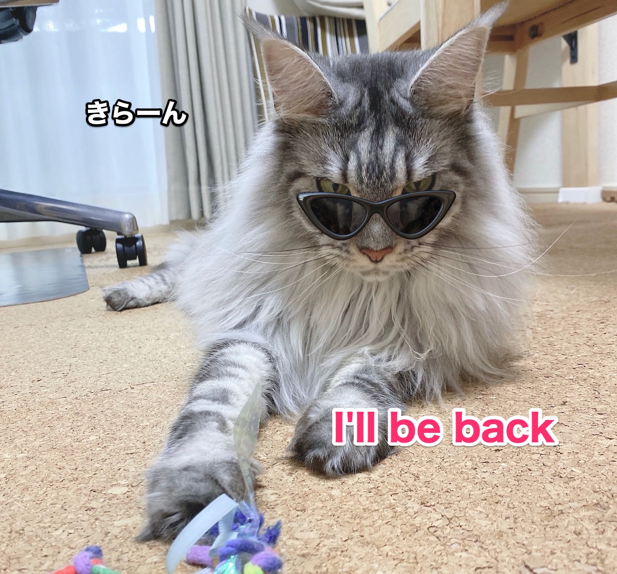 f:id:chikojirou:20200810204754j:plain