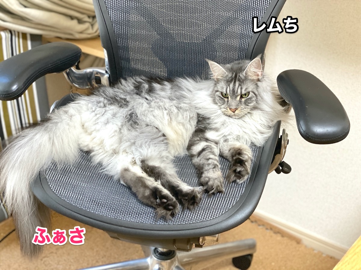 f:id:chikojirou:20200811204717j:plain
