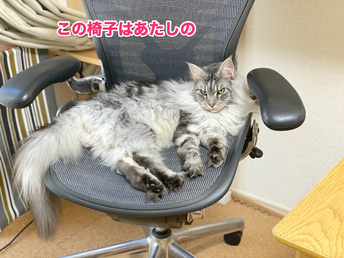 f:id:chikojirou:20200811204721j:plain