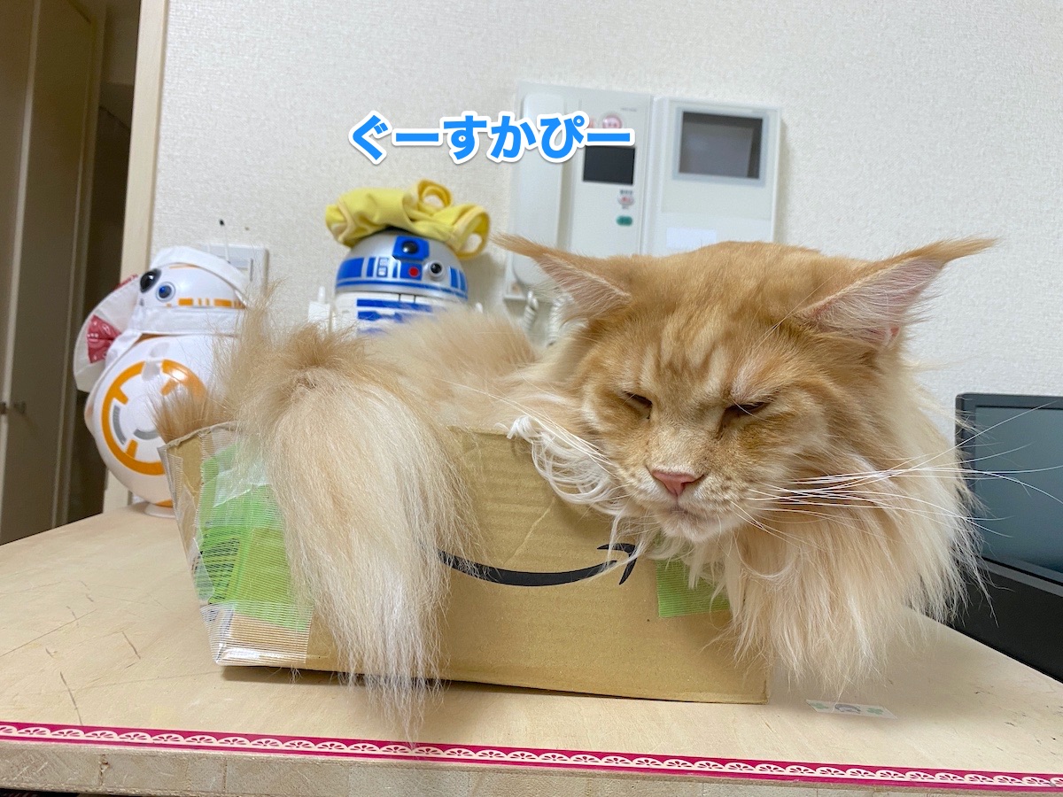 f:id:chikojirou:20200811204736j:plain