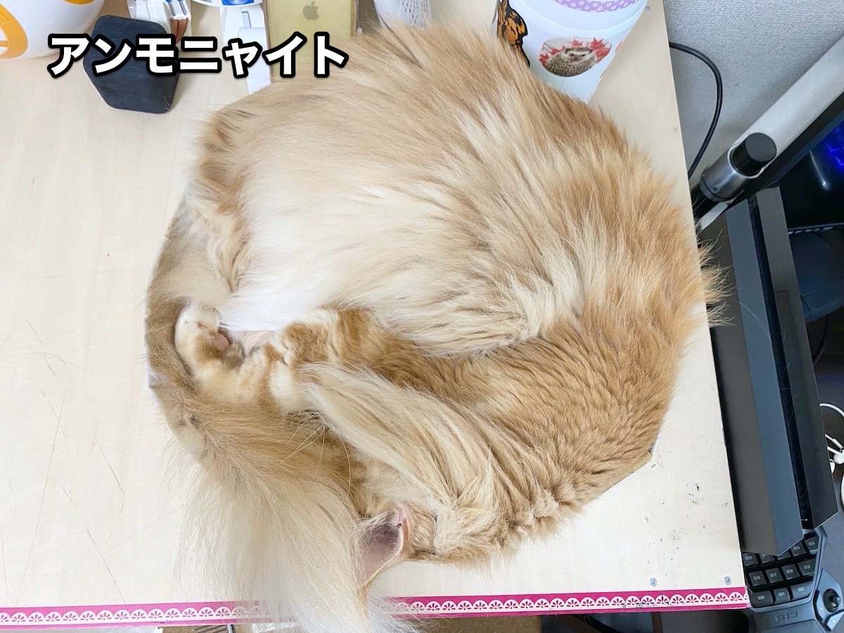 f:id:chikojirou:20200811204739j:plain