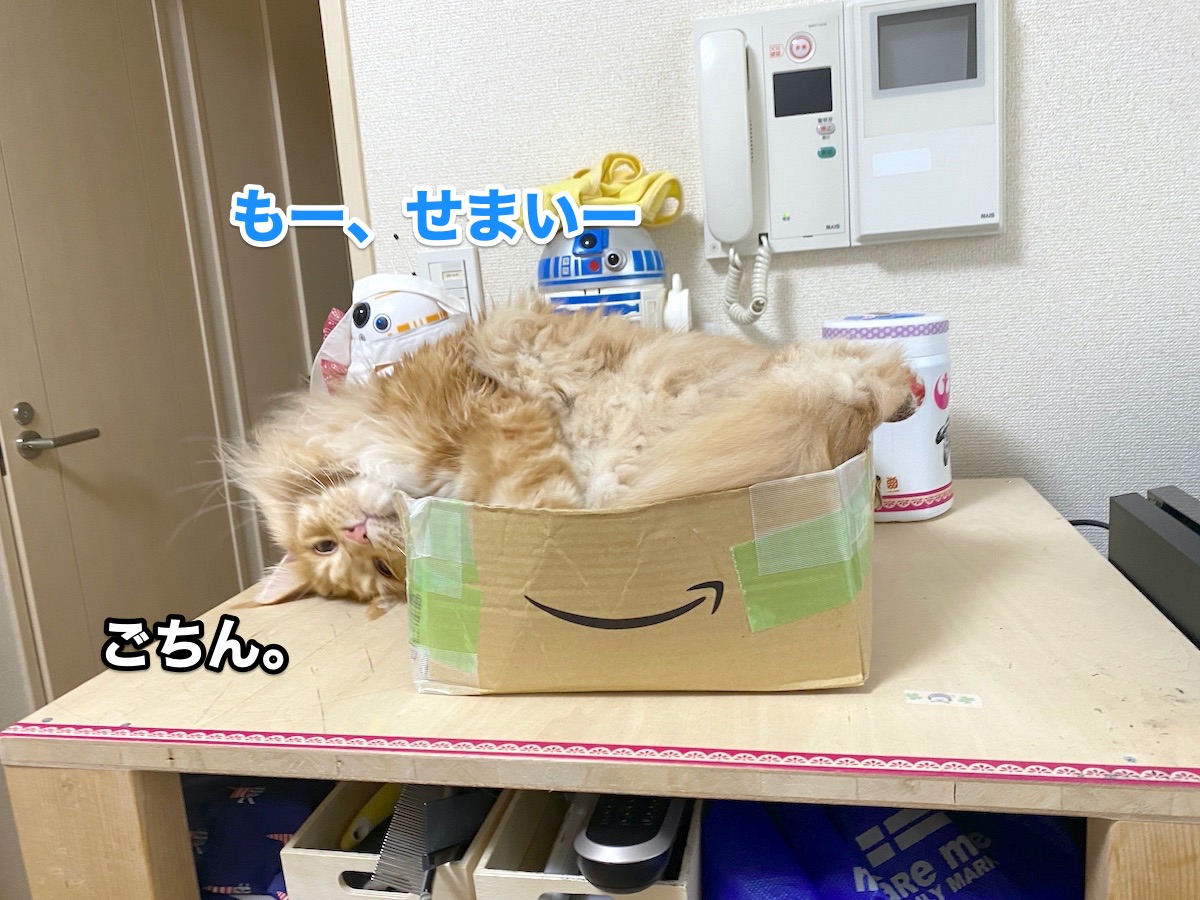 f:id:chikojirou:20200811204746j:plain