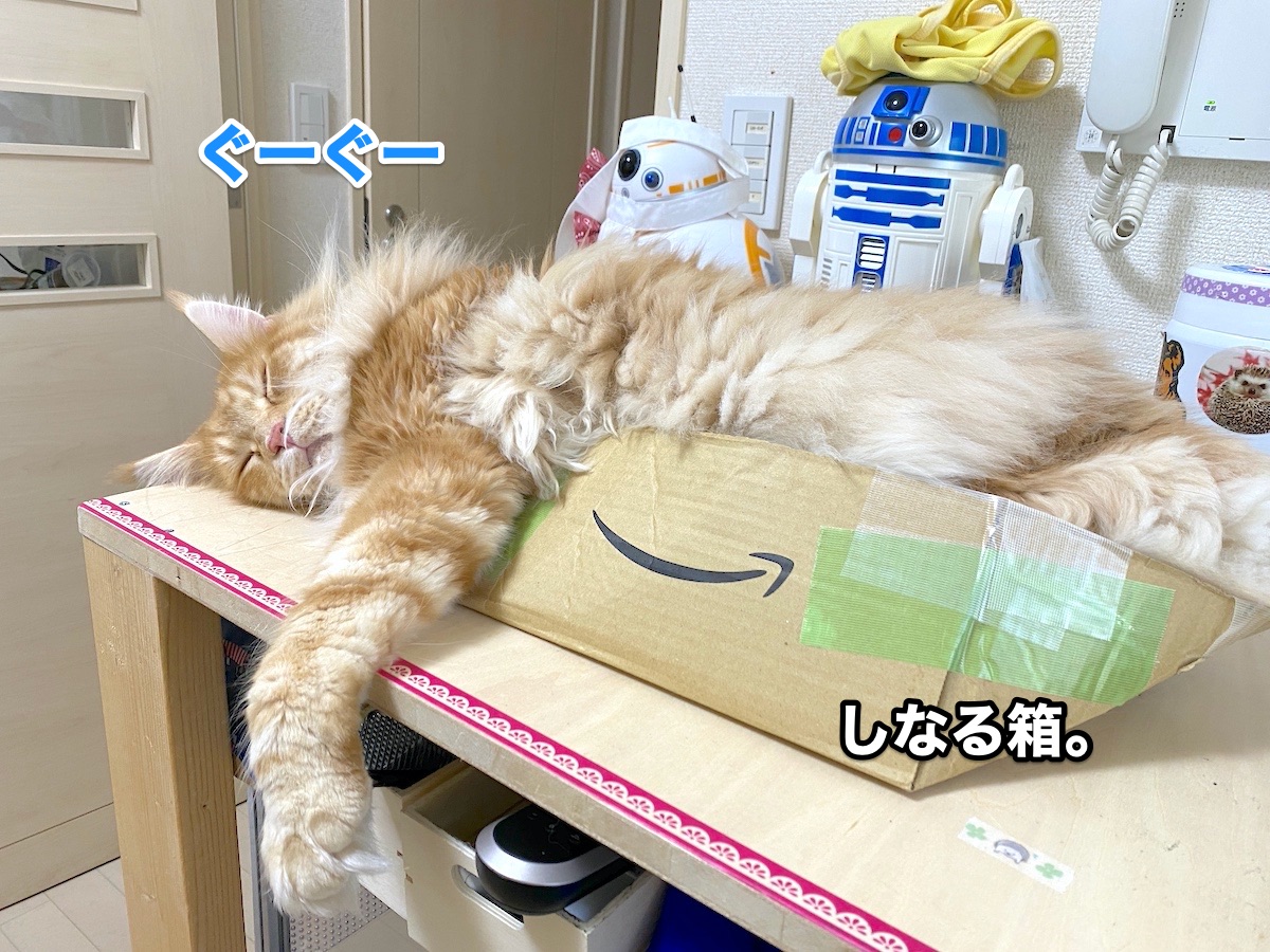 f:id:chikojirou:20200811204757j:plain