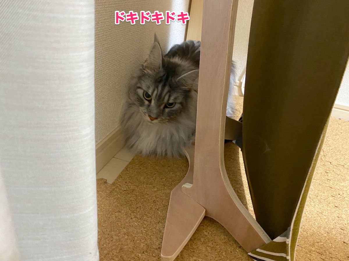 f:id:chikojirou:20200813193020j:plain