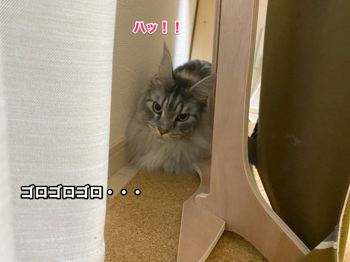 f:id:chikojirou:20200813193023j:plain