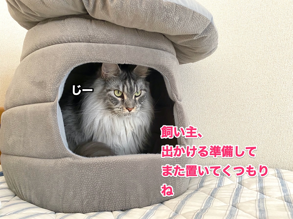 f:id:chikojirou:20200814203029j:plain
