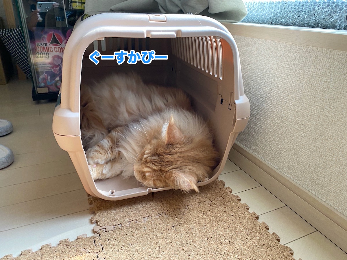 f:id:chikojirou:20200814203044j:plain