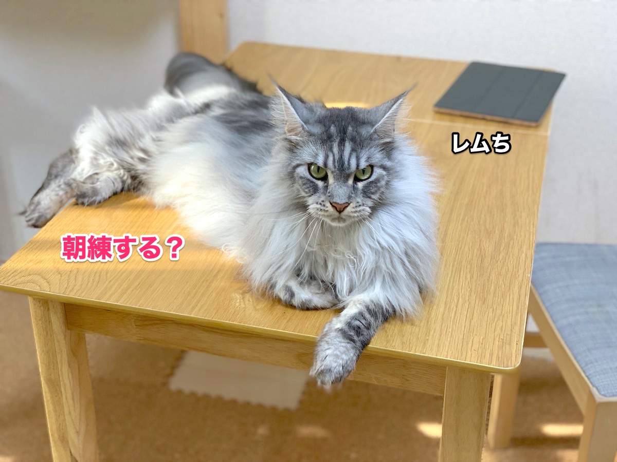 f:id:chikojirou:20200817202724j:plain