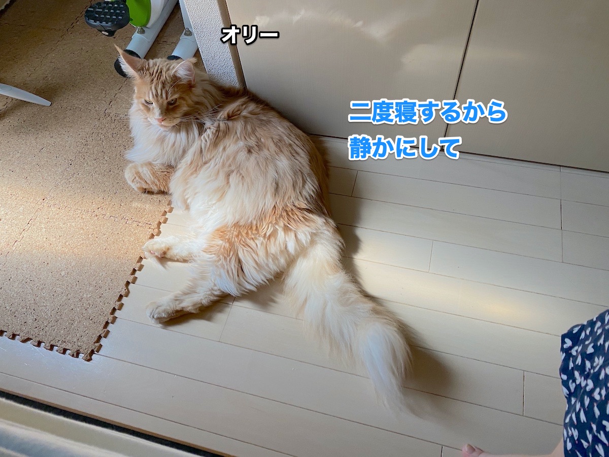 f:id:chikojirou:20200817202735j:plain