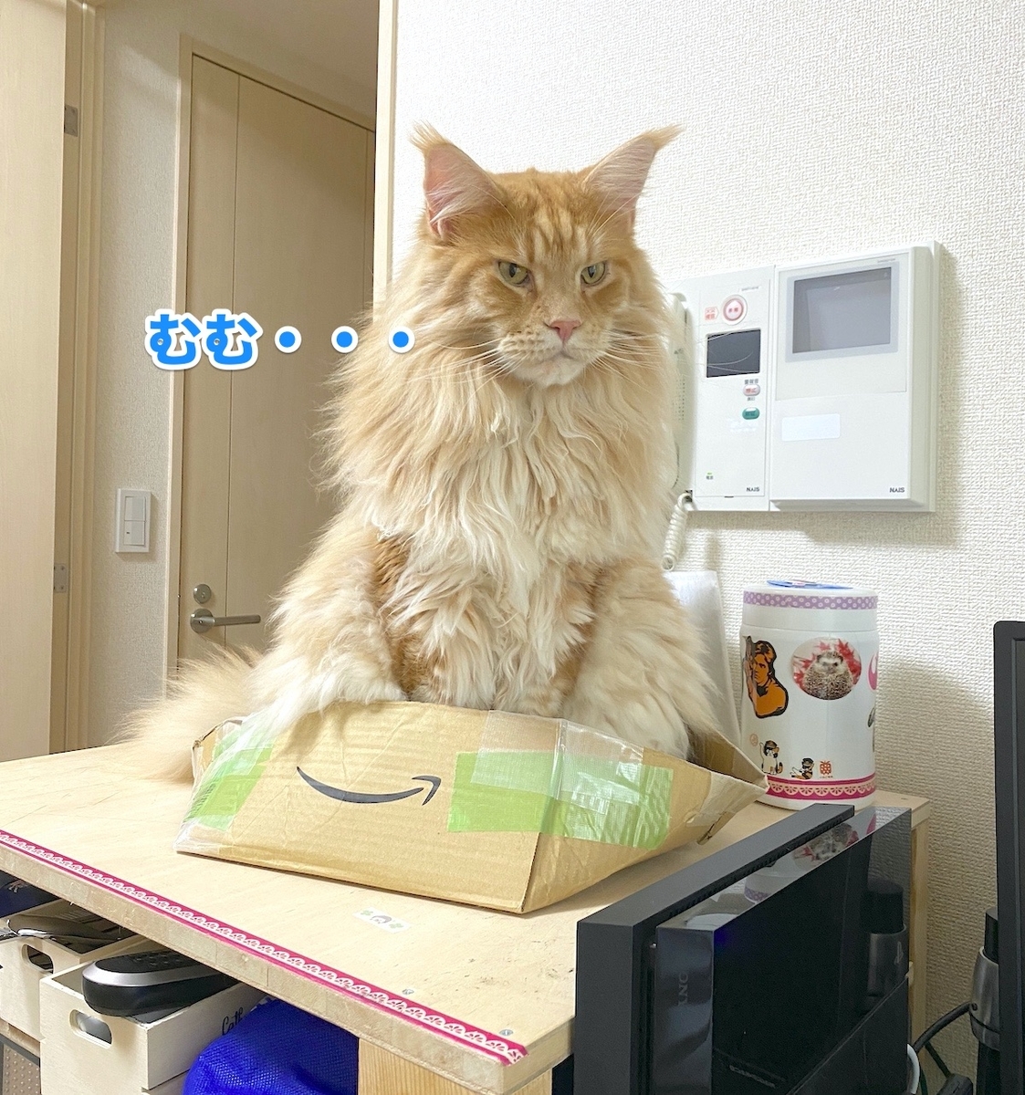 f:id:chikojirou:20200818194936j:plain
