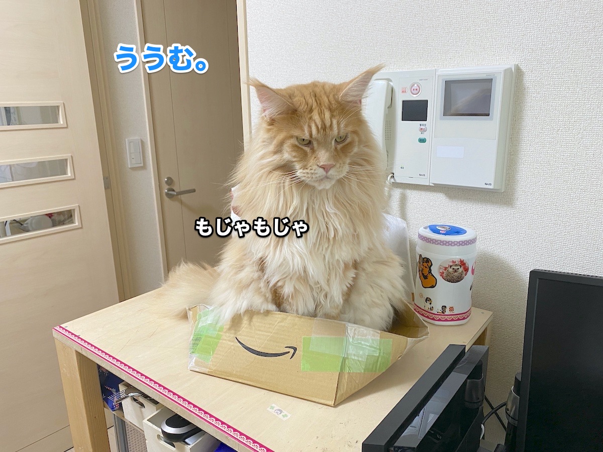 f:id:chikojirou:20200818194945j:plain