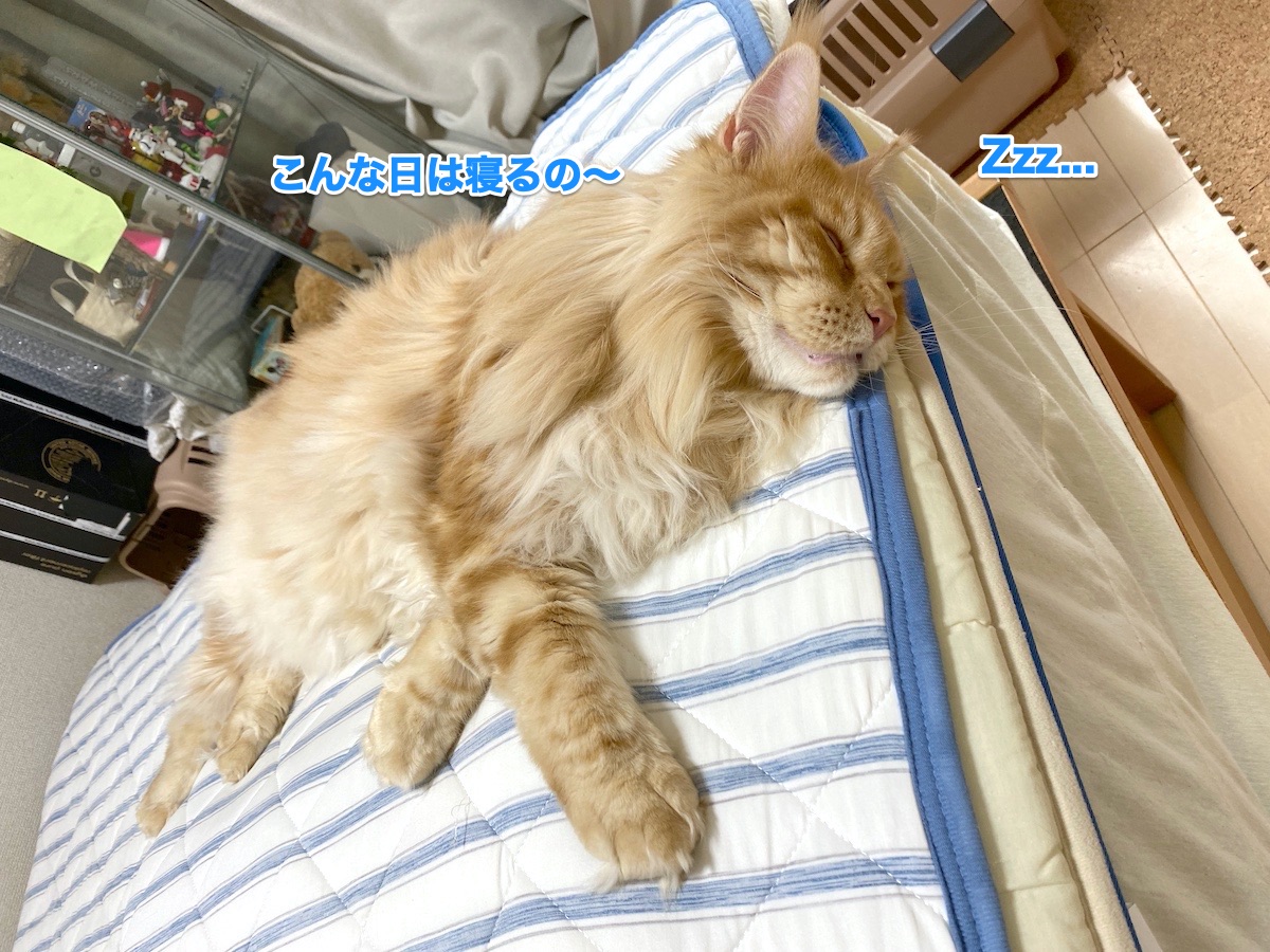 f:id:chikojirou:20200819215941j:plain