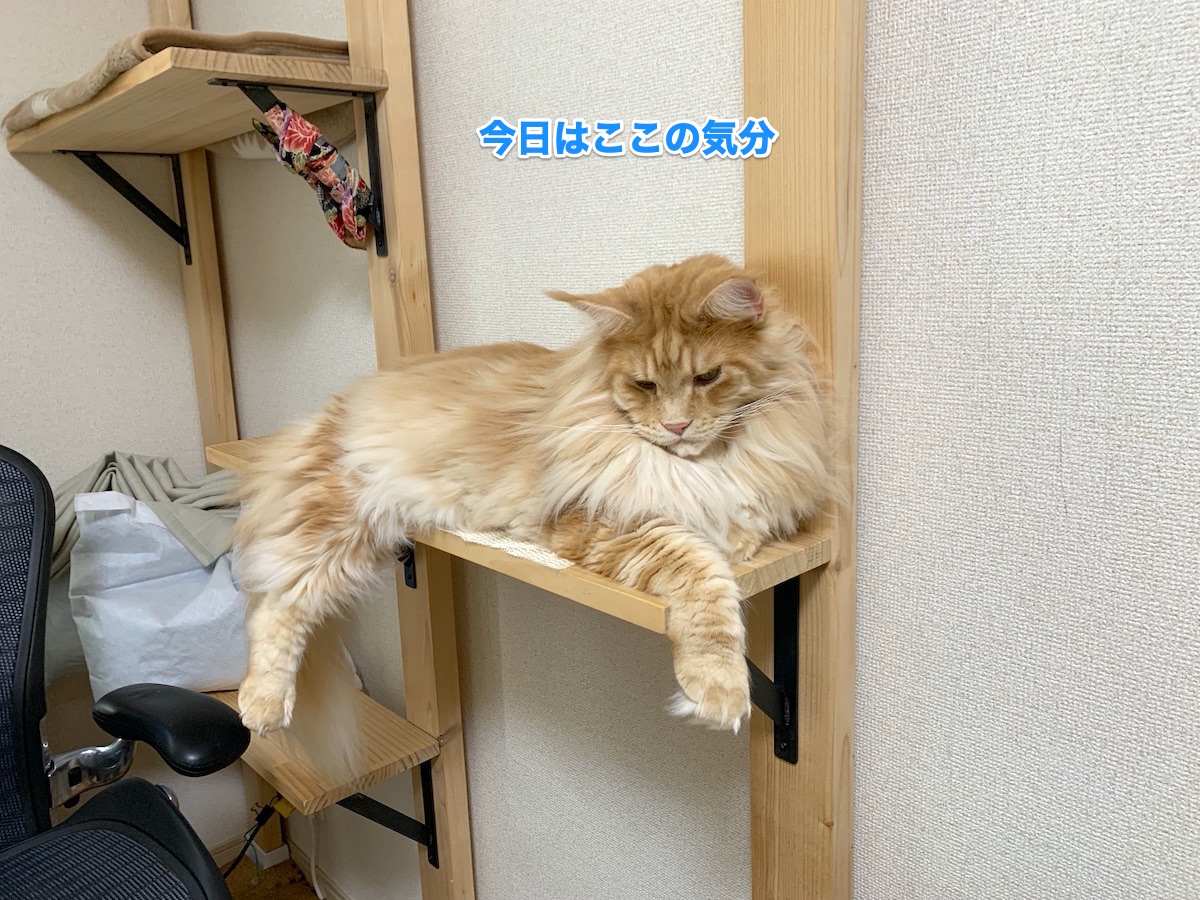 f:id:chikojirou:20200819215948j:plain