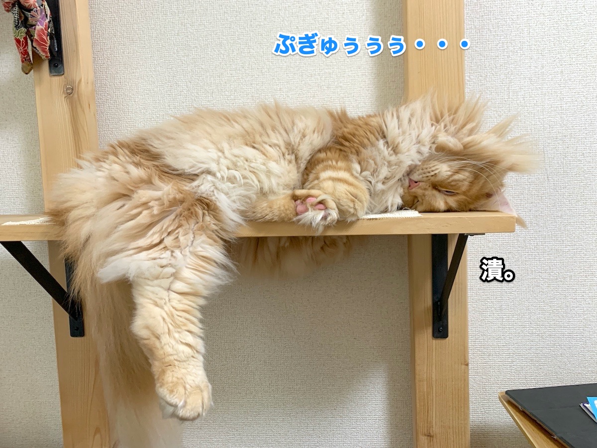 f:id:chikojirou:20200819215956j:plain