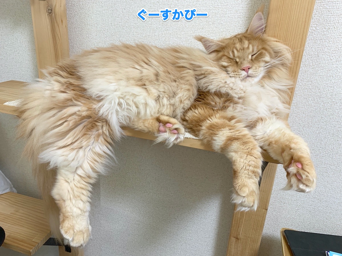 f:id:chikojirou:20200819220050j:plain