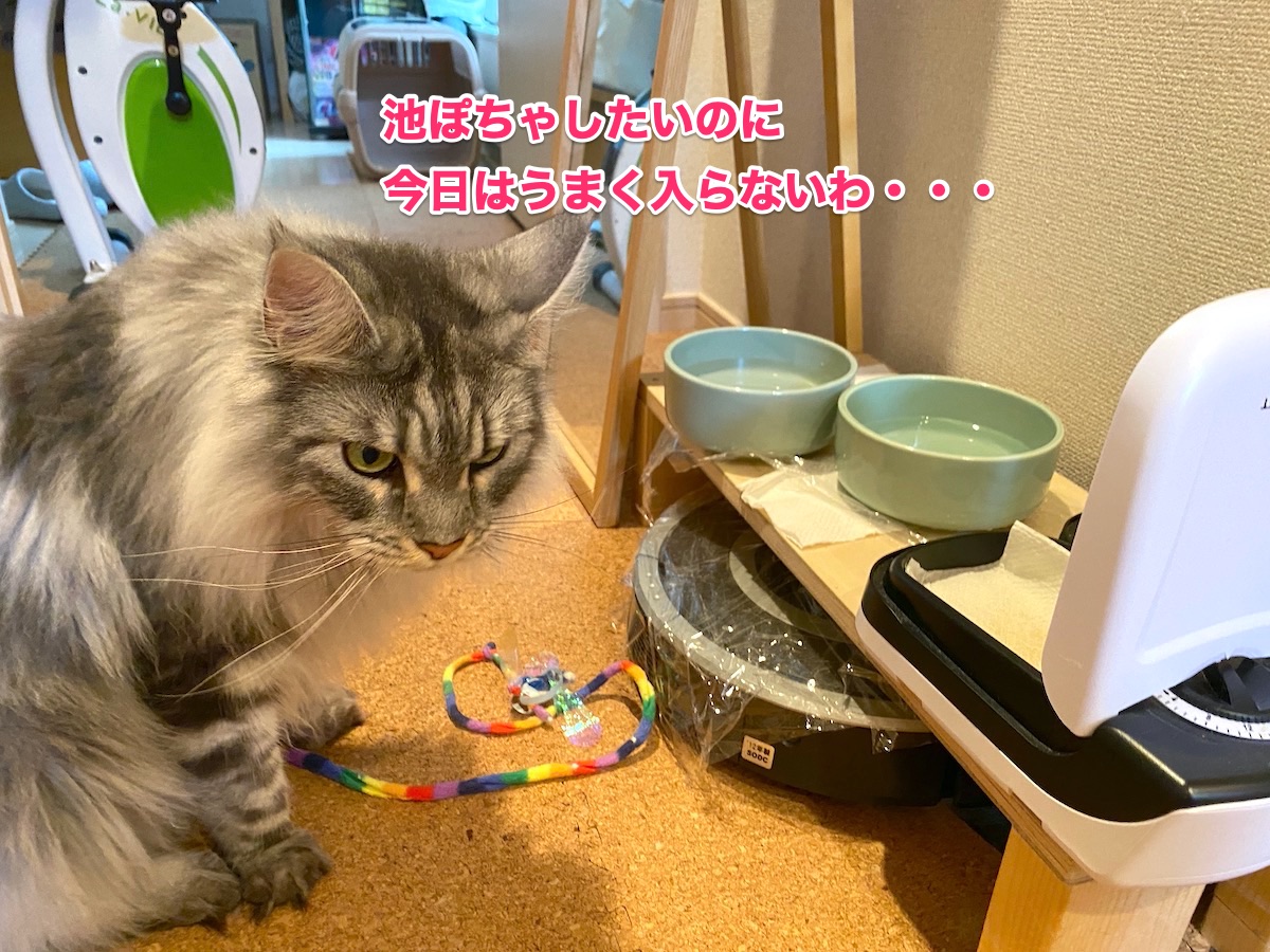 f:id:chikojirou:20200819220059j:plain