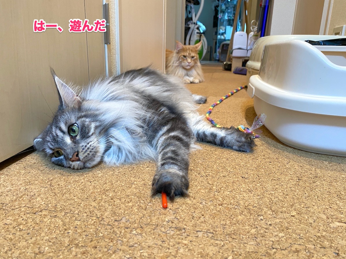 f:id:chikojirou:20200819220103j:plain