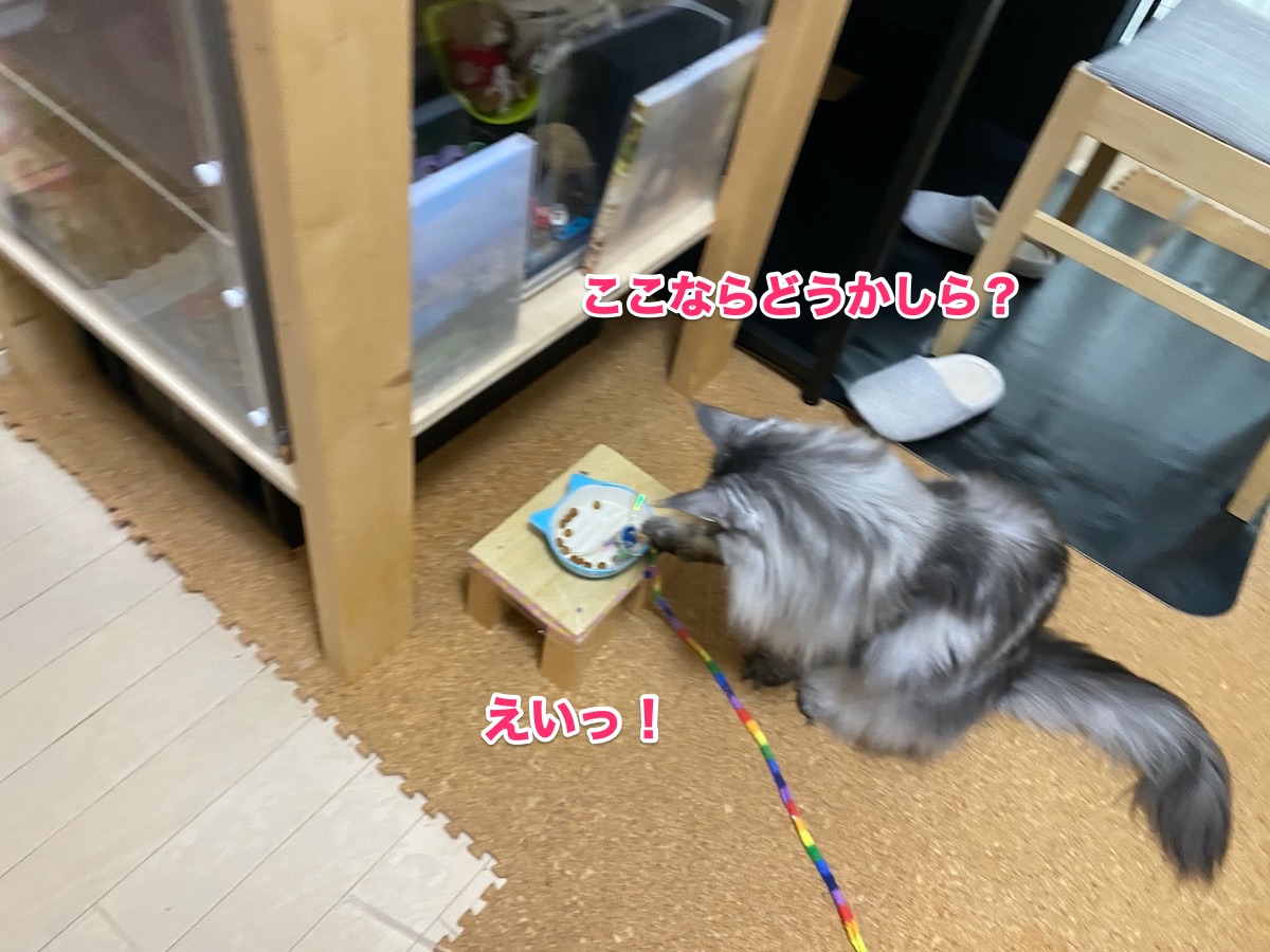 f:id:chikojirou:20200819220107j:plain
