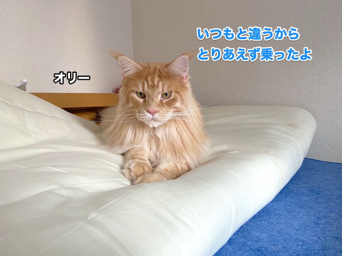 f:id:chikojirou:20200820202528j:plain