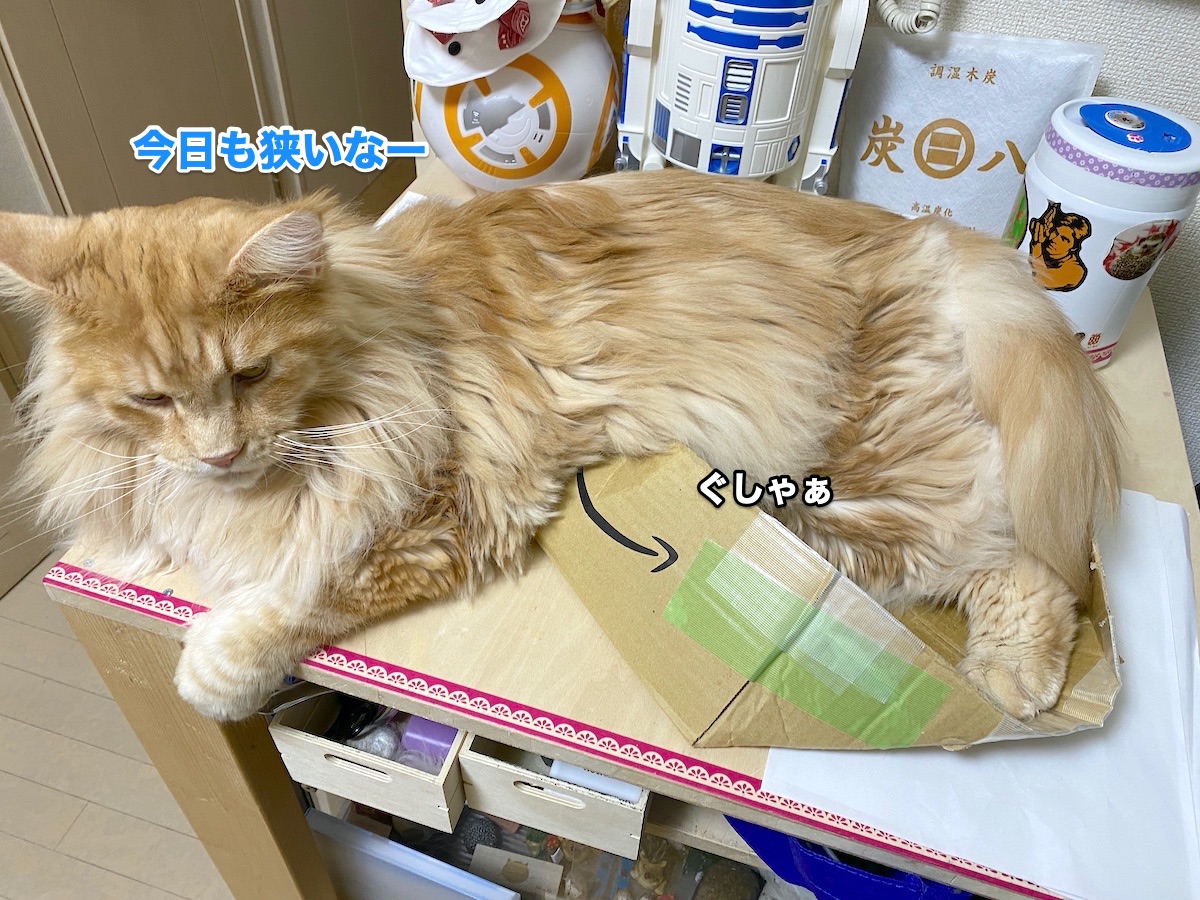 f:id:chikojirou:20200822214707j:plain f:id:chikojirou:20200822214707j:plain