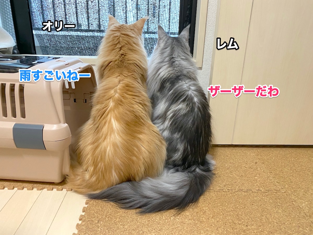 f:id:chikojirou:20200823201021j:plain