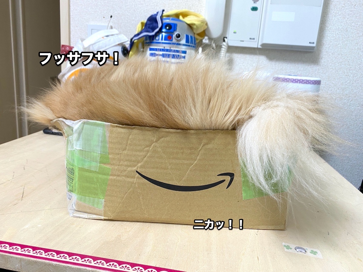 f:id:chikojirou:20200823201029j:plain