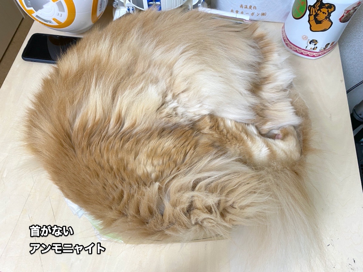 f:id:chikojirou:20200823201033j:plain
