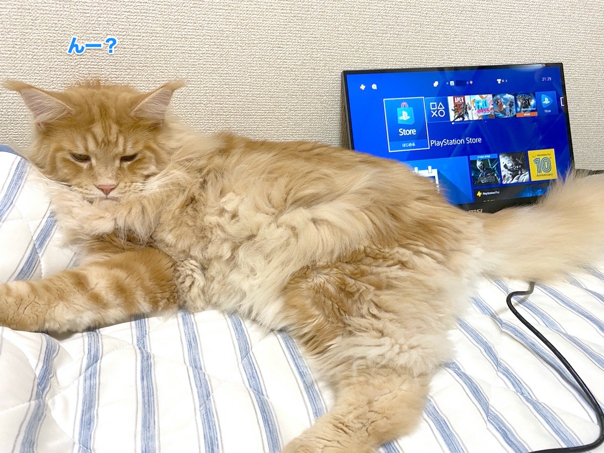 f:id:chikojirou:20200823201050j:plain