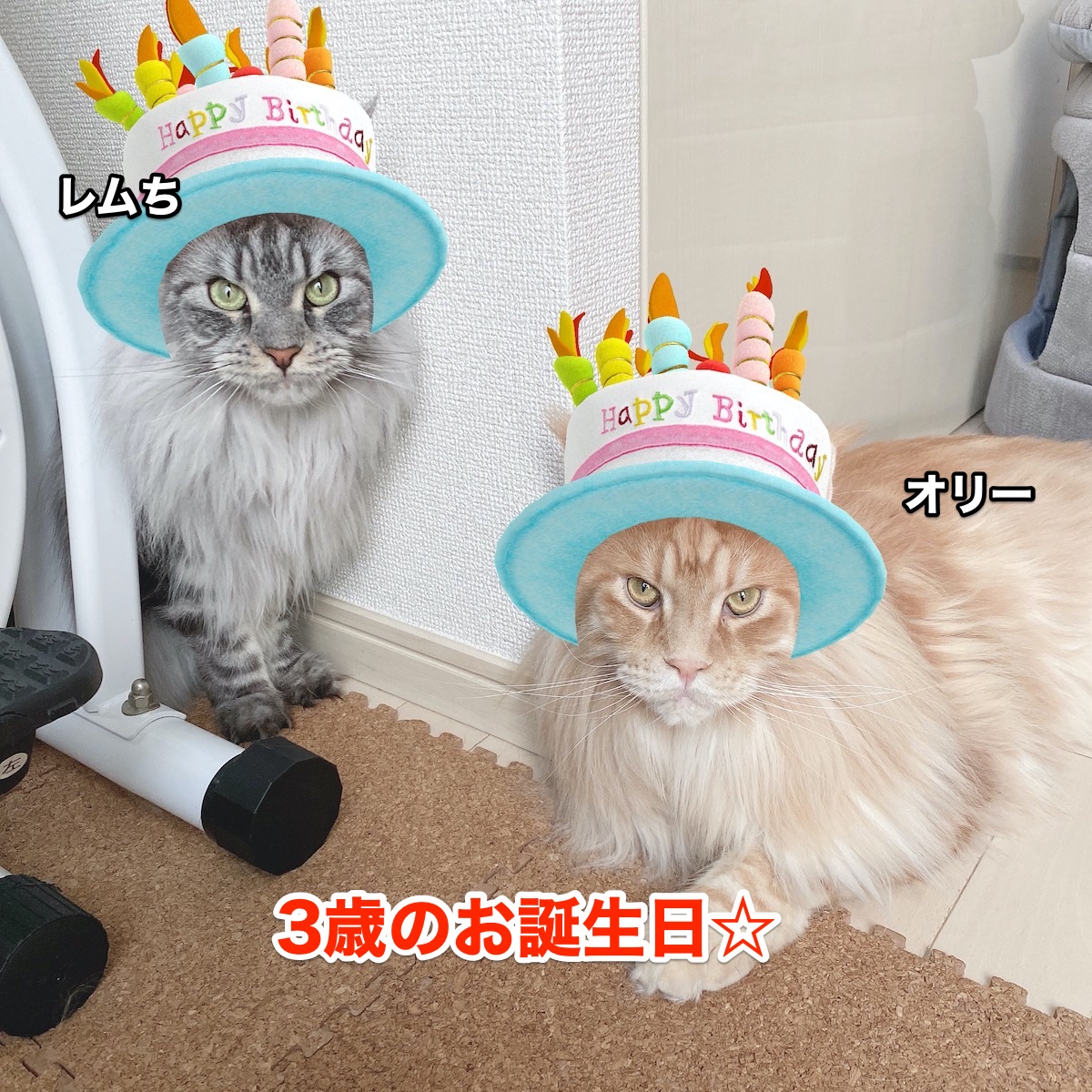 f:id:chikojirou:20200825210155j:plain