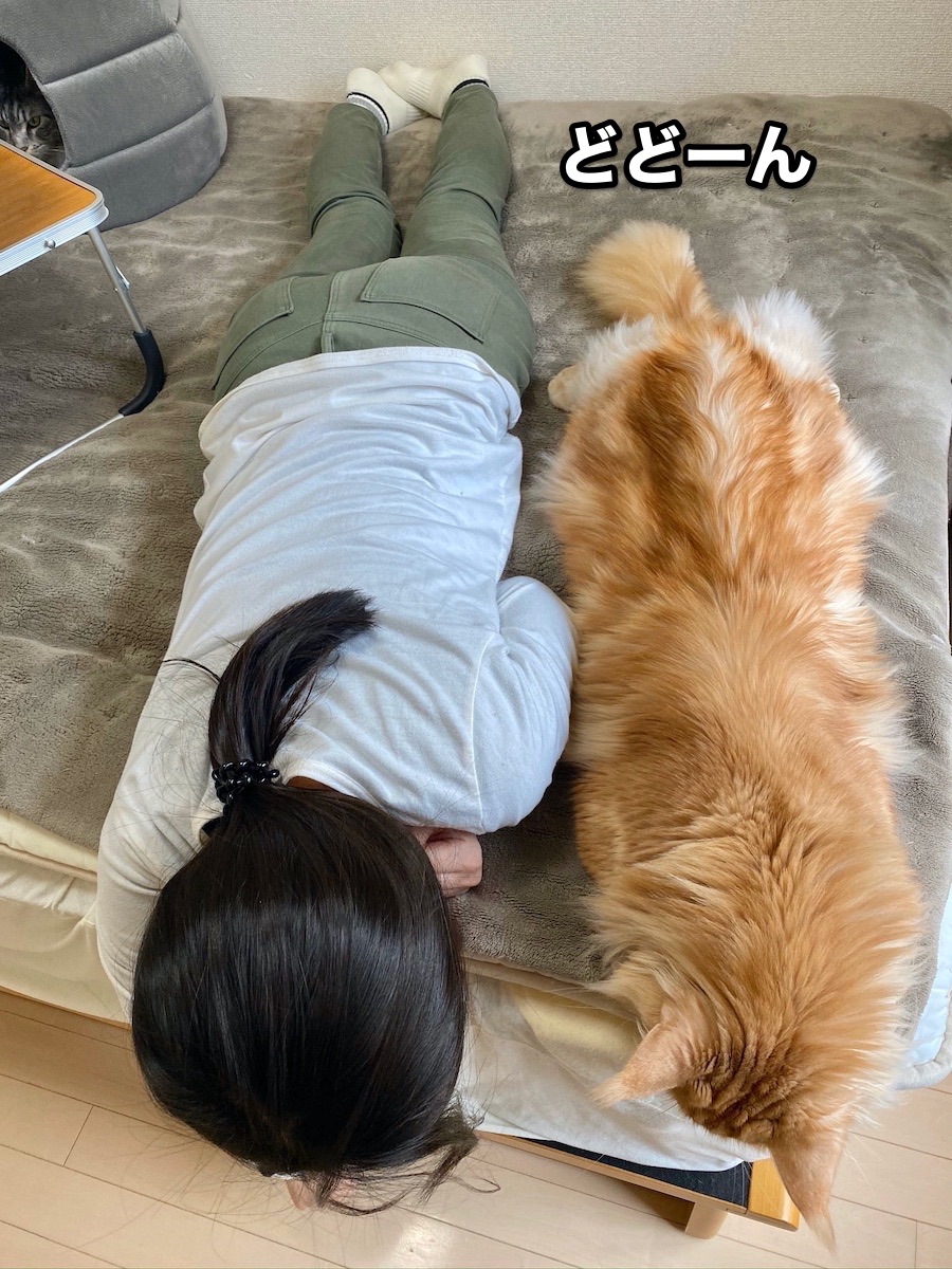f:id:chikojirou:20200825210234j:plain
