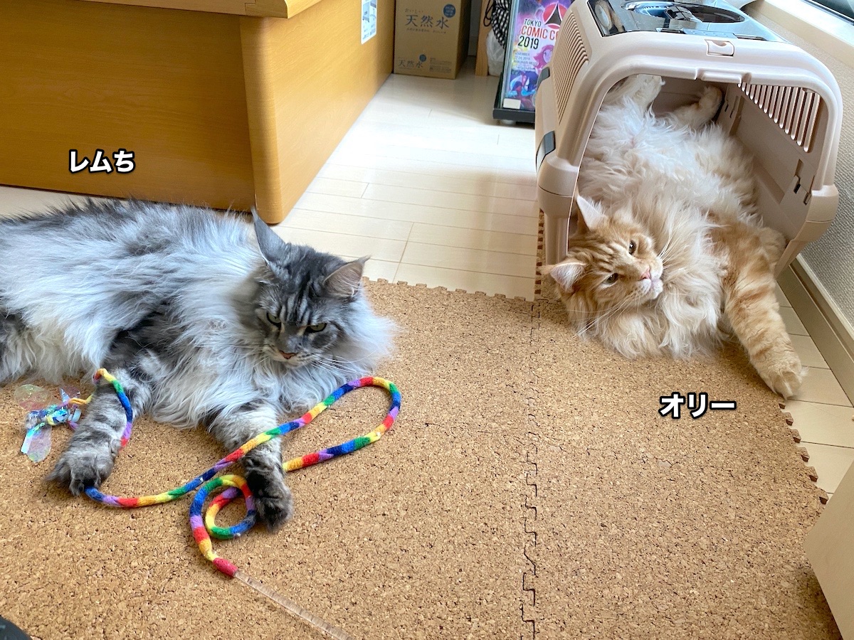 f:id:chikojirou:20200826204046j:plain