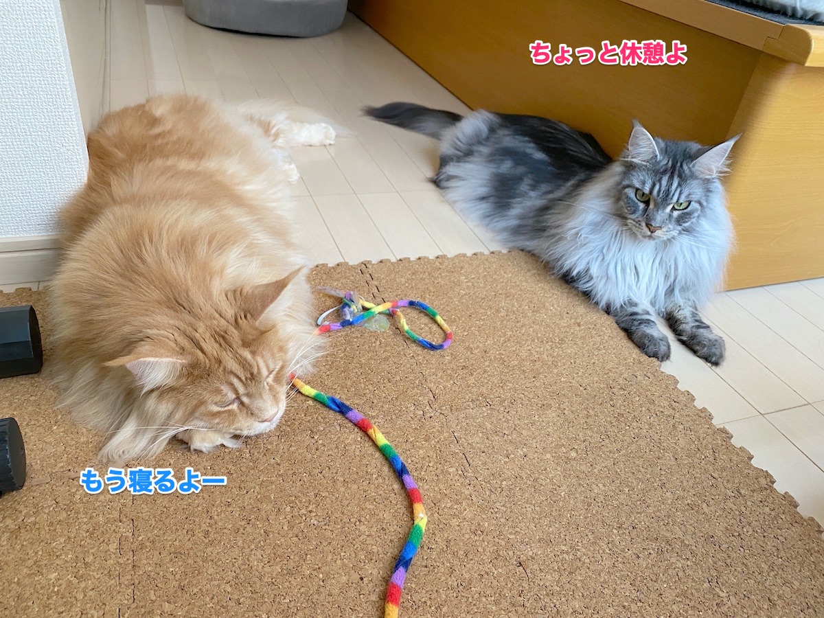 f:id:chikojirou:20200826204052j:plain