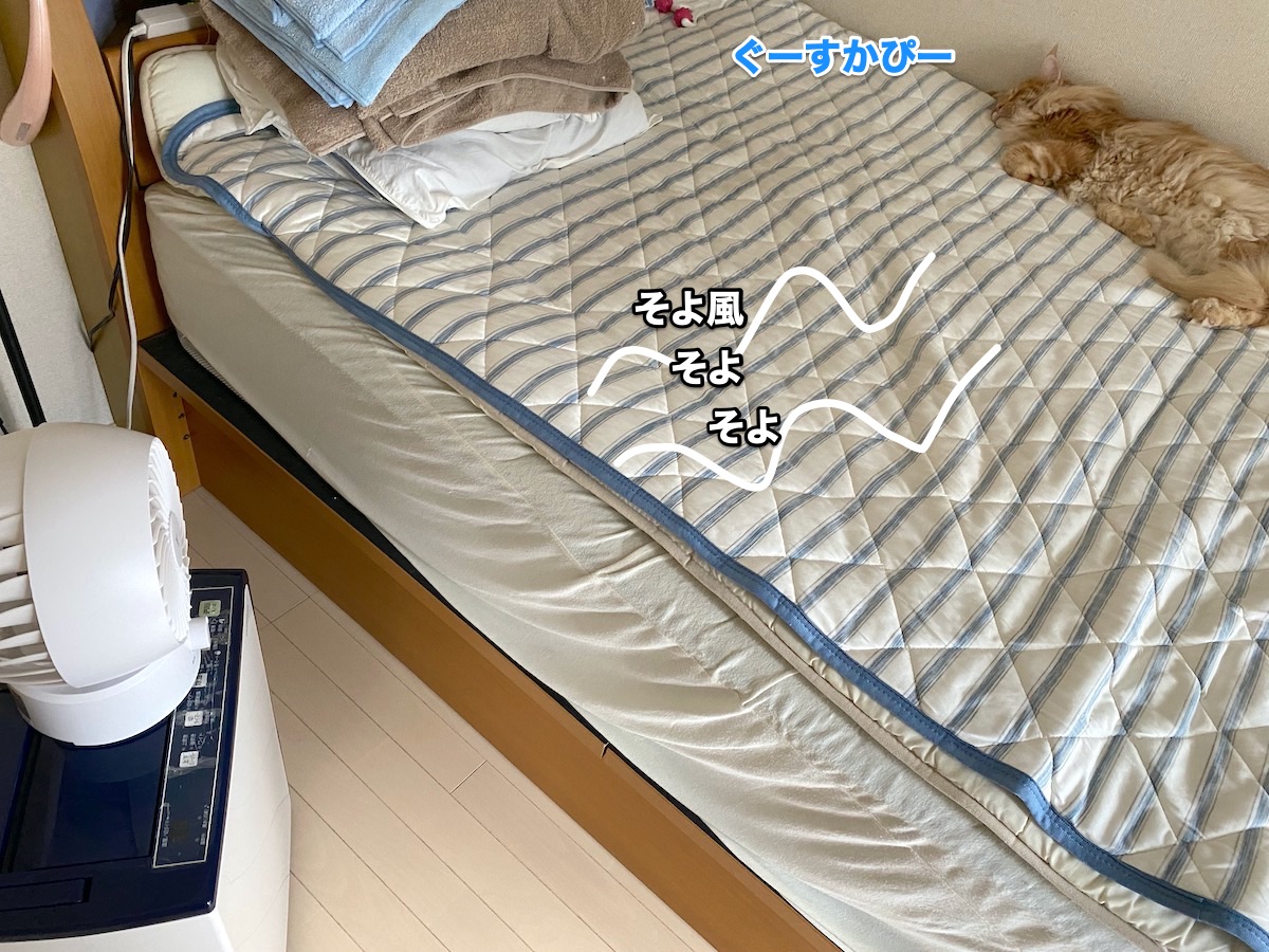 f:id:chikojirou:20200826204103j:plain