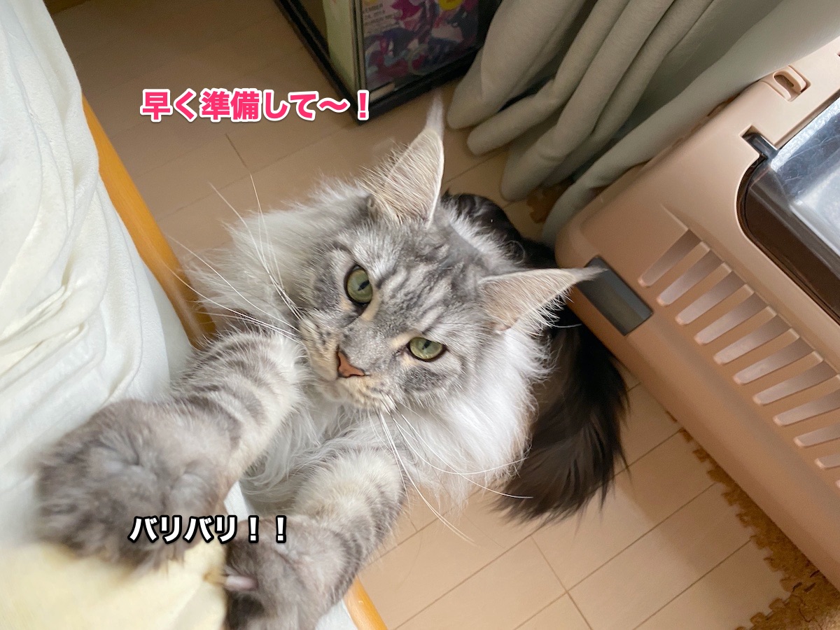 f:id:chikojirou:20200826204121j:plain