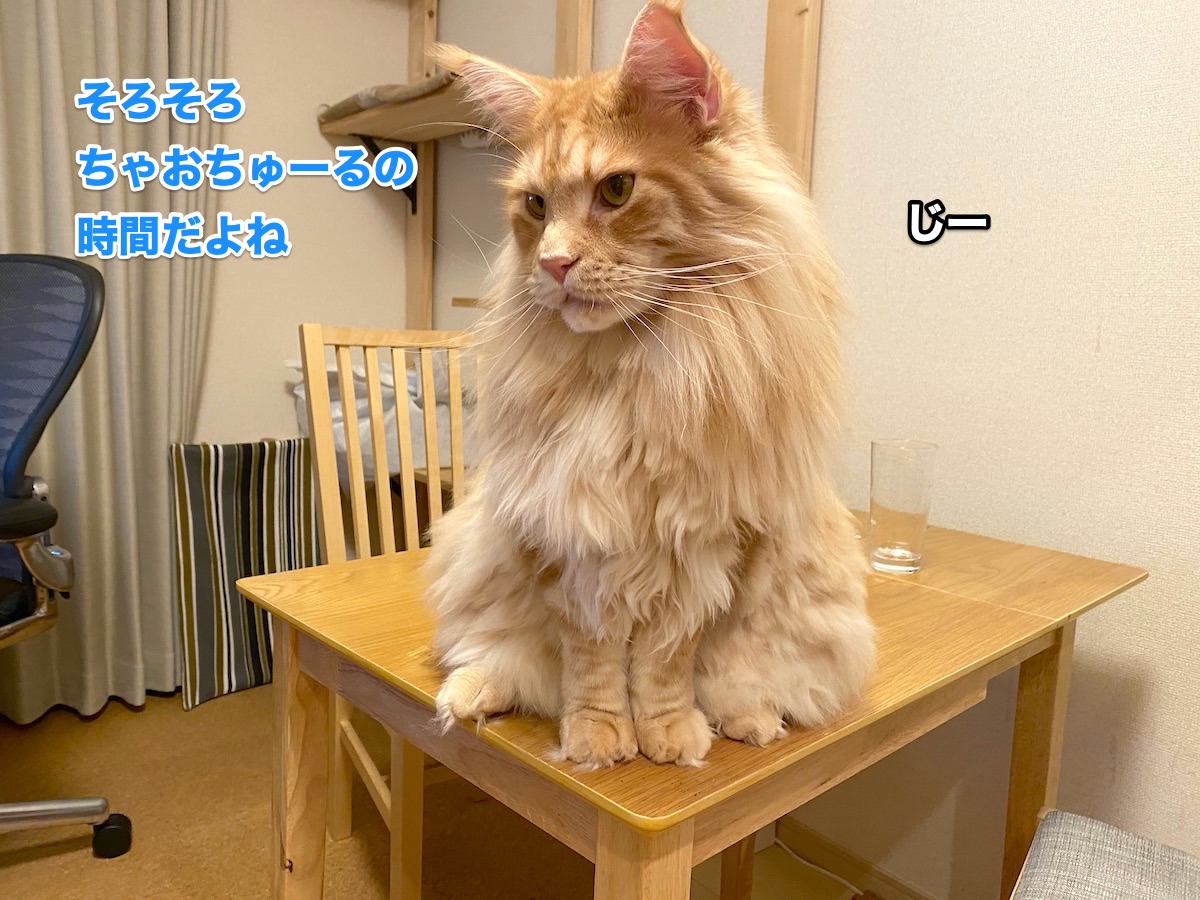 f:id:chikojirou:20200827205628j:plain