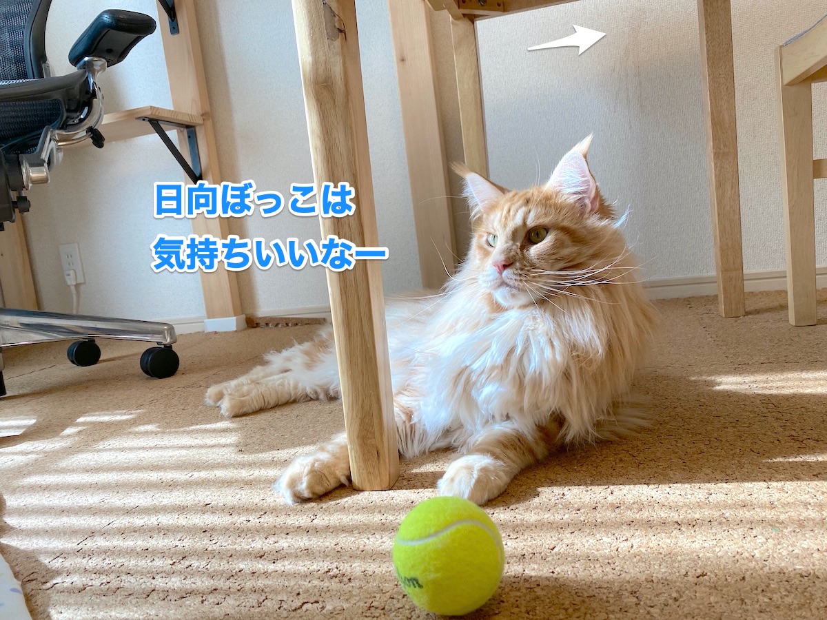 f:id:chikojirou:20200827205639j:plain