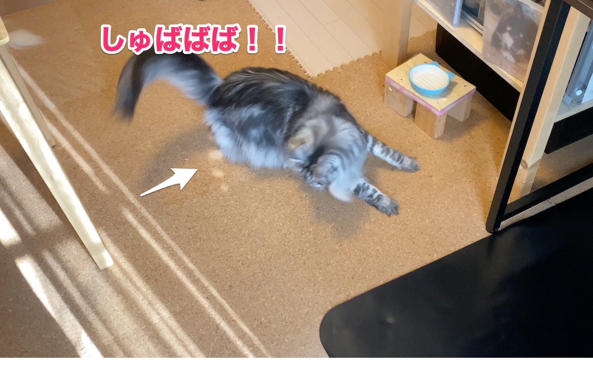 f:id:chikojirou:20200827205643j:plain