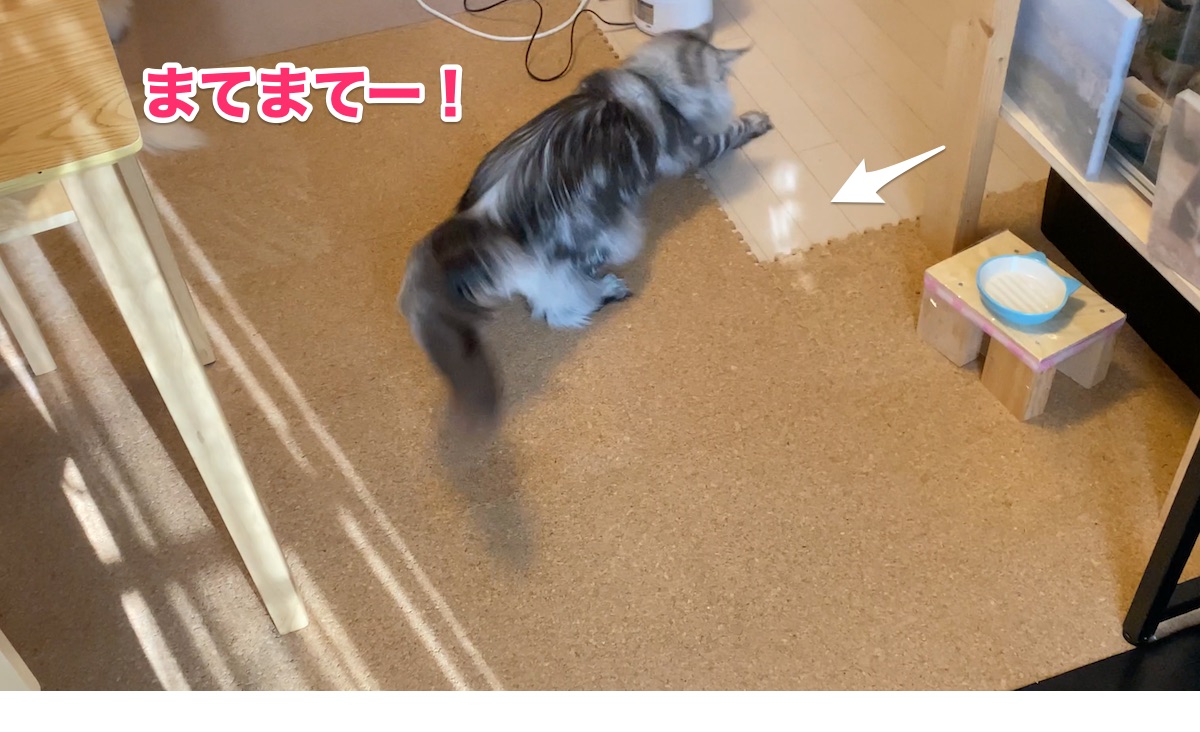 f:id:chikojirou:20200827205646j:plain